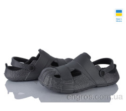 Кроксы Golden Lion